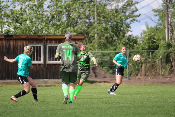 Frauen vs. Rotation