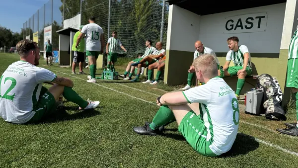 24.08.2024 SG HTB Halle II vs. SV G/W Ammendorf II