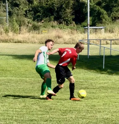 24.08.2024 SG HTB Halle II vs. SV G/W Ammendorf II