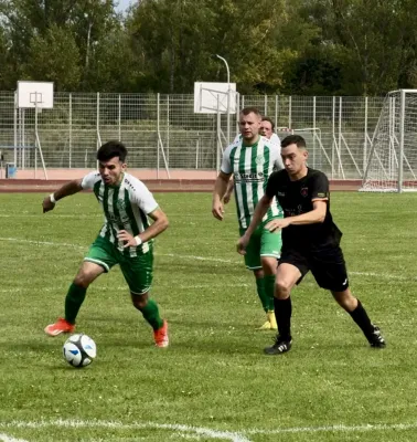 25.08.2024 Roter Stern Halle vs. SV G/W Ammendorf