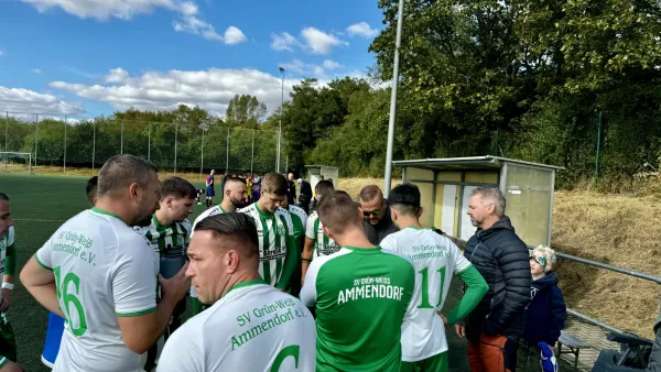 14.09.2024 VfL Halle 96 II vs. SV G/W Ammendorf