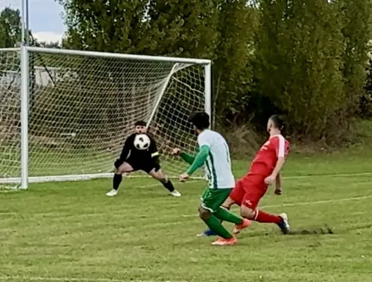 29.09.2024 Kine em Halle vs. SV G/W Ammendorf